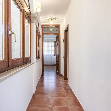 Exclusive Roth Sassari