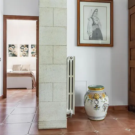 Exclusive Roth Sassari